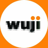 WUJI HOUSE logo - Similar company to Humanfly Tattoo