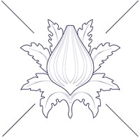 SYLVAIN PIERRE JEAN logo - Similar company to Breakfirst