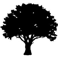 Strong Oak AB logo - Similar company to Codevoyd