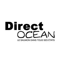 DIRECT OCEAN logo - Similar company to Crusta C