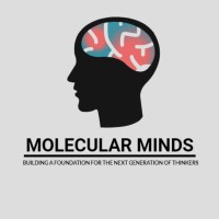 Molecular Minds logo - Similar company to Global Interdependence Center
