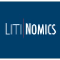 LitiNomics logo - Similar company to Idasa