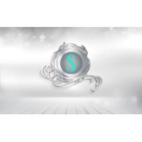Seal Solutions logo - Similar company to Hammersense Consulting