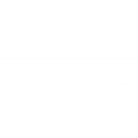 Lena Nikolenko logo - Similar company to Careeristnow