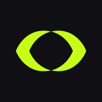 VYZR GROUP logo - Similar company to Blacktail Design