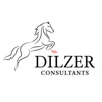 Dilzer Consultants ( SEBI Registered Investment Advisor ) logo - Similar company to Icatalyst Capital