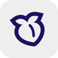 PeachPay logo - Similar company to Safiri