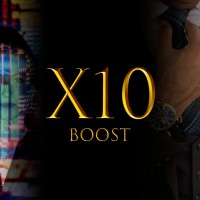 X10 BOOST CAPITAL logo - Similar company to Translamex