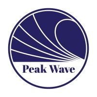 Peak Wave logo - Similar company to Worldbridge General Trading Llc