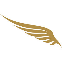 Red Eagle Foundation logo - Similar company to I See Apps