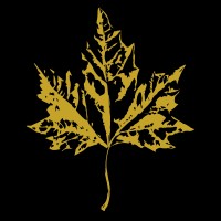 The Wine Jungle logo - Similar company to Mercado Dos Aromas