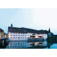 Hotel an der Aare AG logo - Similar company to Aparthotel Aarau-West