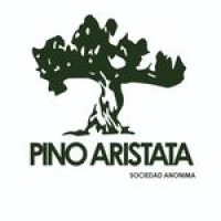 Pino Aristata S.A. logo - Similar company to Provesol