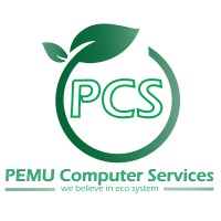 Pemu Computer Services logo - Similar company to Legacy Learning Hub Ltd