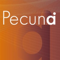 Pecunai Concept logo - Similar company to Bsw Consult Gmbh - Consulting & Bildungsmanagement