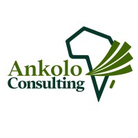 Ankolo Consulting logo - Similar company to Sema - East Africa