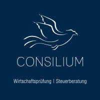 HERZOG & PARTNER CONSILIUM AG logo - Similar company to Trebema Ag
