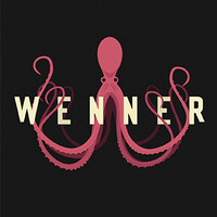 WENNER Studio logo - Similar company to Motion504
