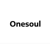 Onesoul logo - Similar company to Datastudio
