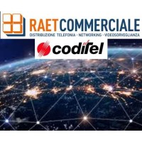 RAET Commerciale logo - Similar company to Gemm Informatica Srl