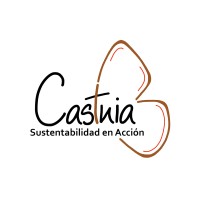 Castnia logo - Similar company to Three Valley Copper // Tsxv: Tvc
