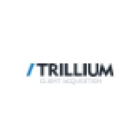 Trillium Interactive - Online Marketing logo - Similar company to Compcoins - Us Legal Sweepstakes Casino Affiliate Network