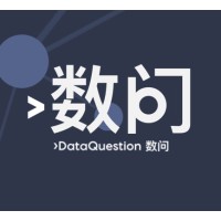 数问DataQuestion logo - Similar company to Tech Stack Talent Partners