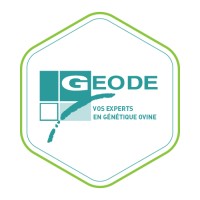 Geode, sheep sale and export logo - Similar company to Eurl Ovitest