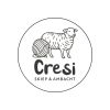 CRESI logo - Similar company to Ice Factor Uk
