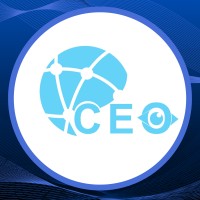 Capital Executive Outsourcing logo - Similar company to Tchilanda