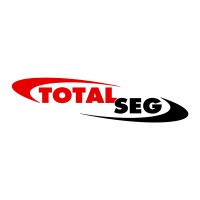 Totalseg logo - Similar company to Pronetworks