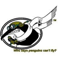 Penguin Flight Dynamics logo - Similar company to Digital Flight Dynamics