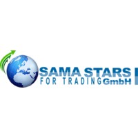 SST GmbH logo - Similar company to Ssx Group