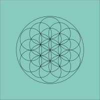 Alex Russell-Stoneham | Holistic Coach