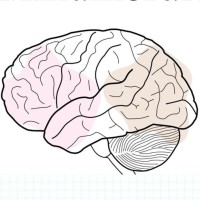 Mind Morale logo - Similar company to Newton Icad