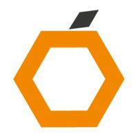 Toranjin logo - Similar company to Webperformance Report