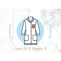 Lab Of Codes logo - Similar company to Phi01Tech