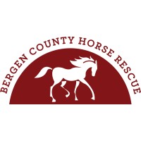 Bergen County Horse Rescue logo - Similar company to Ty Nant Cat Sanctuary