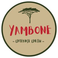 The Yambone Project logo - Similar company to Universidade Lúrio