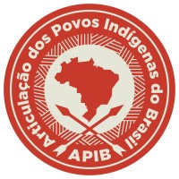 Articulação dos Povos Indígenas do Brasil (APIB) logo - Similar company to Coiab