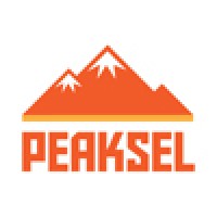 Peaksel logo - Similar company to Webelinx Games