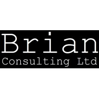 Brian Consulting Ltd logo - Similar company to Brian Jones Consultants