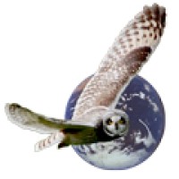 New Way Learning Services