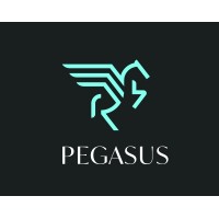 Pegasus Global logo - Similar company to Pegasus Global Advisors