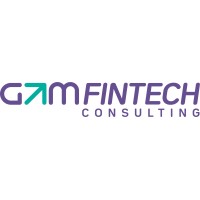 GTM FinTech Consulting logo - Similar company to Datarights Ai