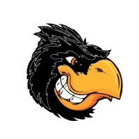 Training Squadron TWO (VT-2) logo - Similar company to Navy Reserve Region Readiness And Mobilization Command Everett