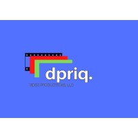 DP RIQ Video Productions LLC logo - Similar company to Karmetik