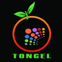 TONGEL INTERNATIONAL FOR ADVANCED BUSINESS CO. LTD. logo - Similar company to Prescott Logic Technologies