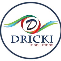 Dricki IT Solutions logo - Similar company to Web Aspiration
