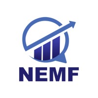 NEMF Solutions E. I. R. L logo - Similar company to Nemf
